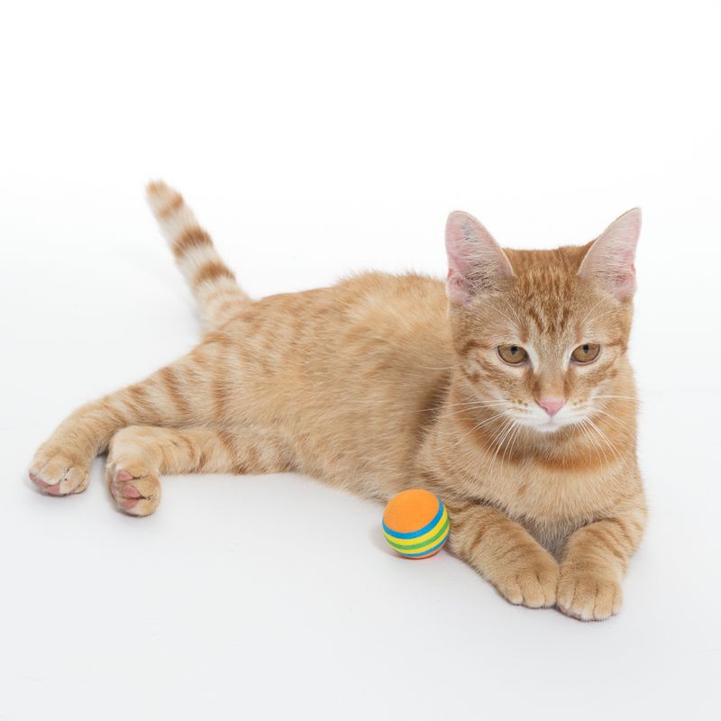 zooplus Basics Foam Ball Set for Cats Set of 8