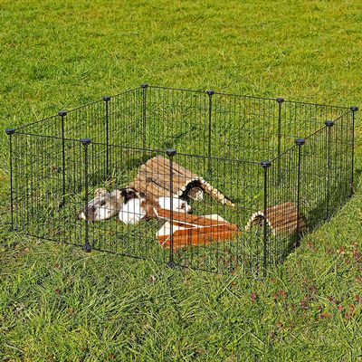 Lionto Free-Range Metal Enclosure 144 x 74 x 46cm (L x W x H)