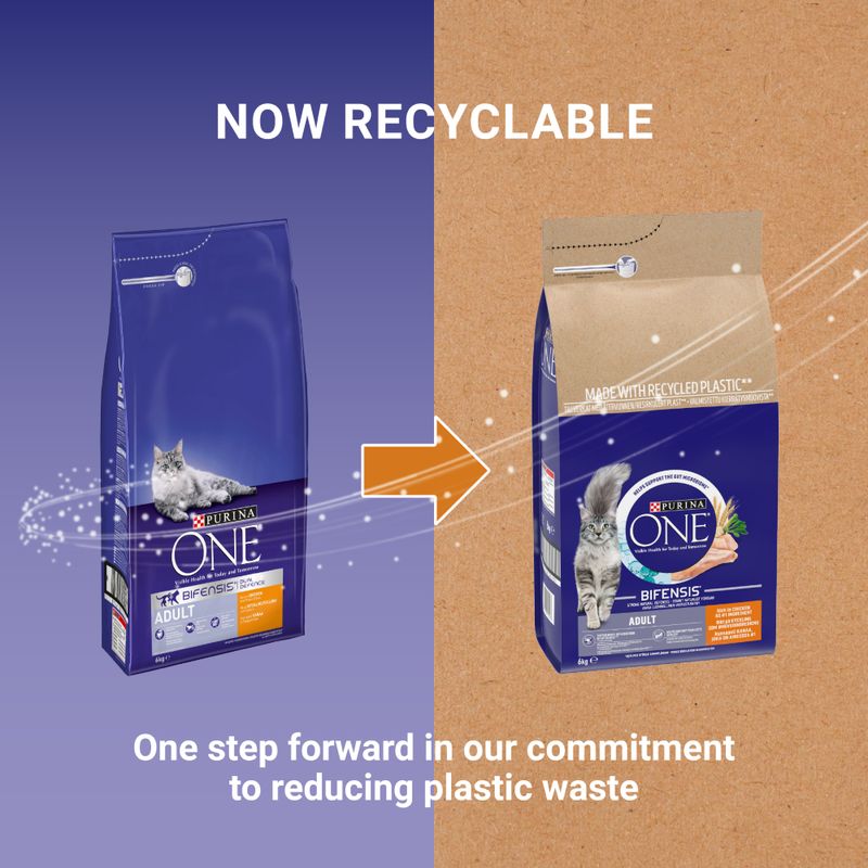 PURINA ONE Adult Chicken & Whole Grains Dry Cat Food 9.75kg