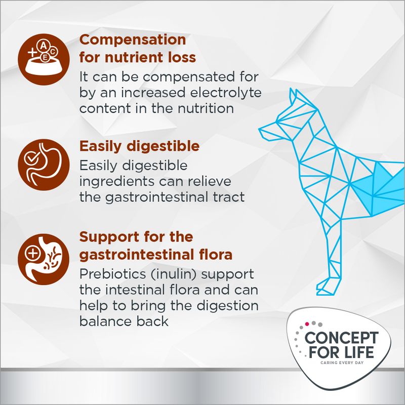 Concept for Life Veterinary Diet Gastrointestinal 1kg