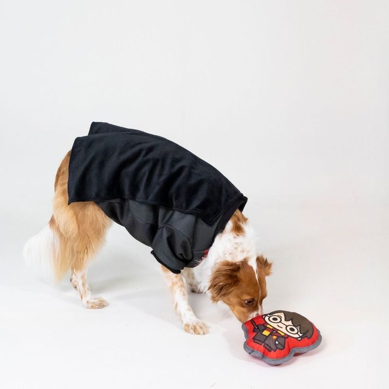 Warner Bros.™ Harry Potter Dog Toy 20 x 18 x 6 cm (L x W x H)