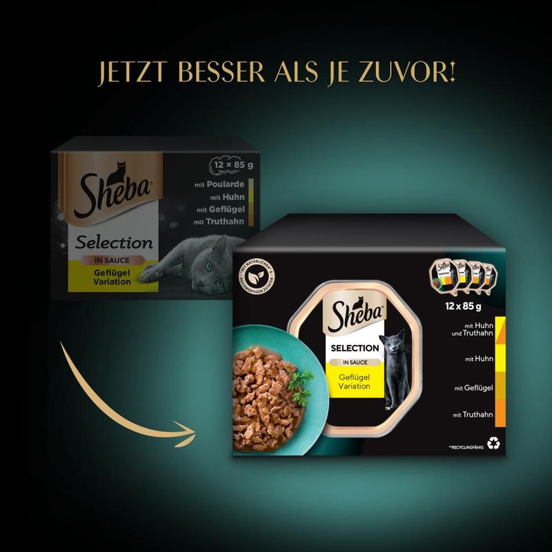 Sheba Varieties Multipack 12 x 85g Ocean Collection Classics in Terrine