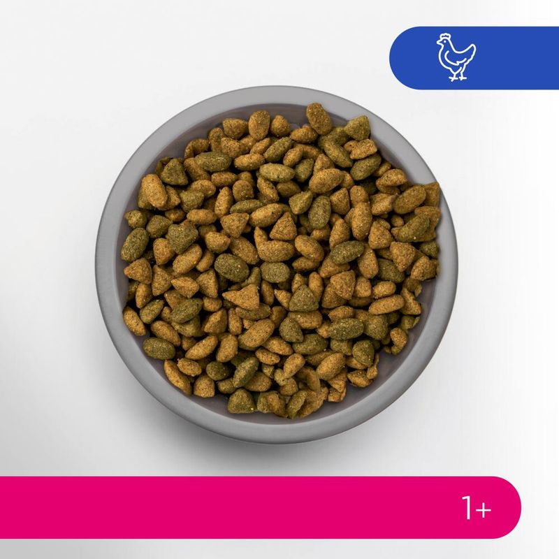 Perfect Fit Adult 1+ Rich in Chicken 1.4kg