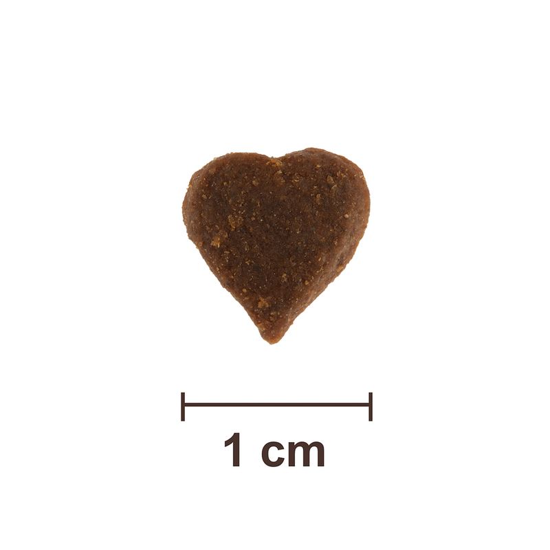 Feringa Kitten Classic Poultry 400g