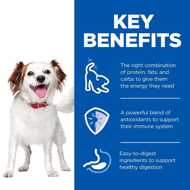 Hill's Science Plan Adult Small & Mini Mousse Chicken (12 x 200g)