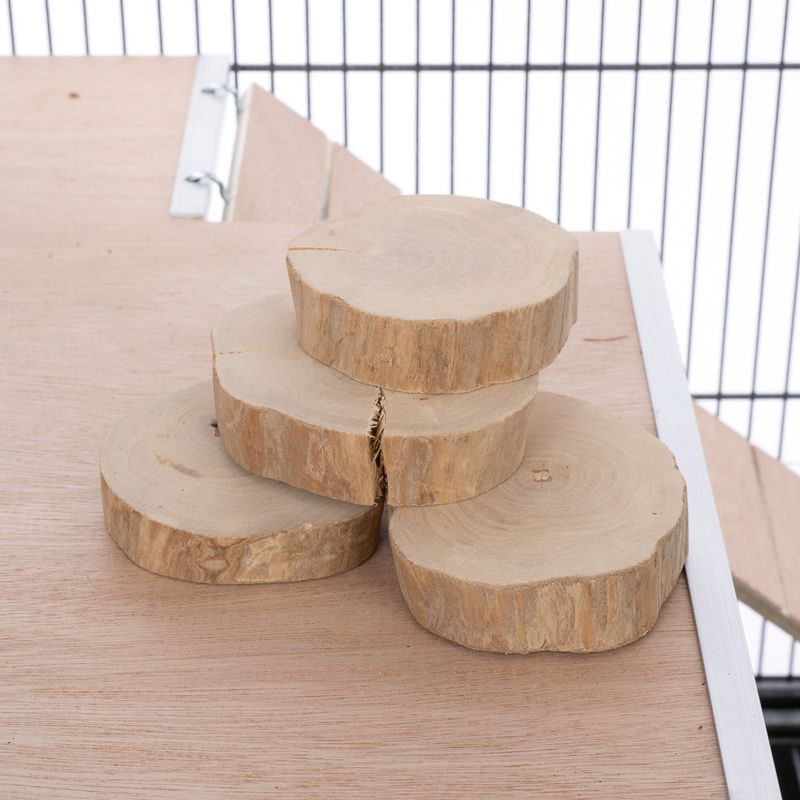 TIAKI Coffee Wood Nibble Discs Set of 4 6-10cm (W)