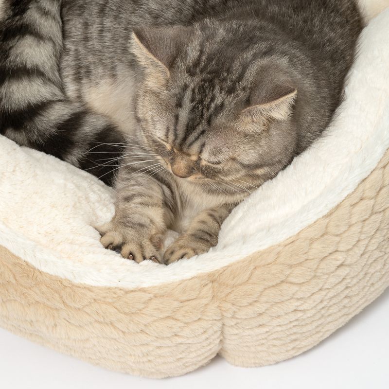 Modern Living Minimalist Aarhus Cuddle Bed 47 x 47 x 21 cm (L x W x H)