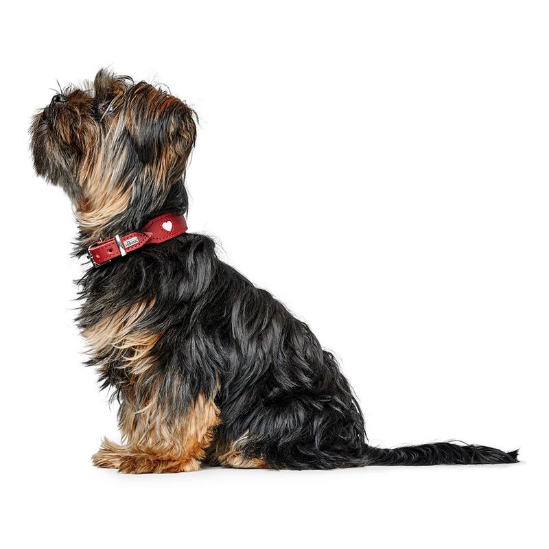 HUNTER Love Collar - Red Size 47: 38 - 44 cm Neck Circumference