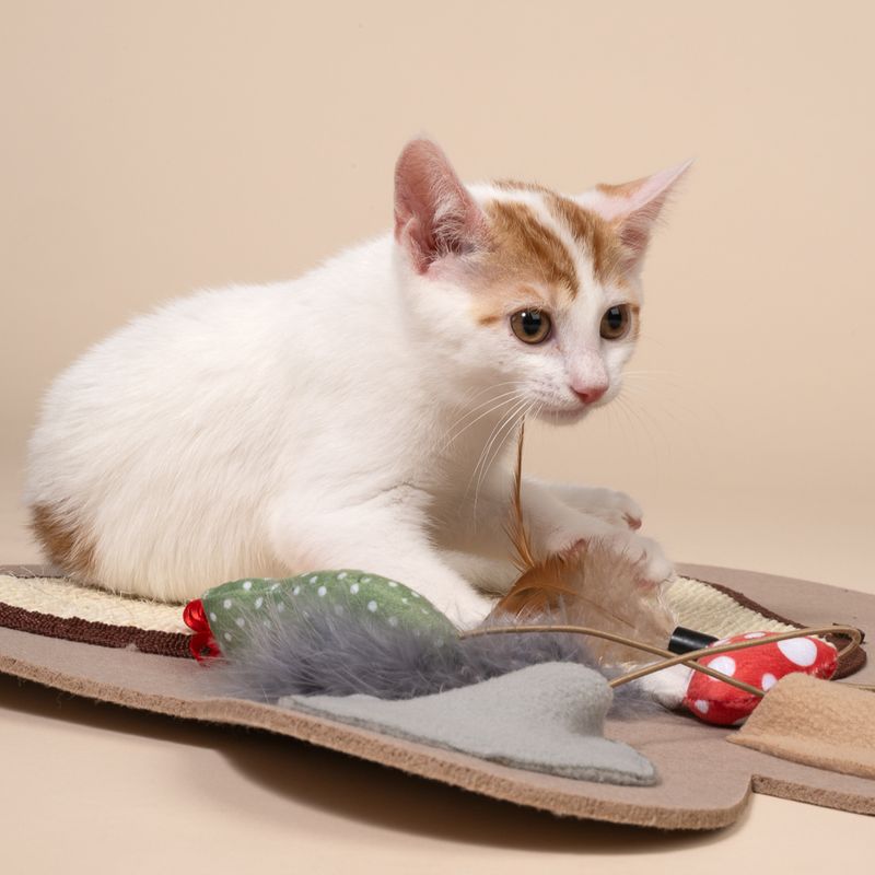 TIAKI Pawprint Interactive Mat for Cats 1 Mat