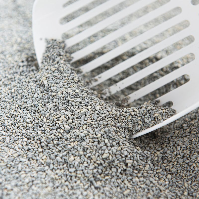 ODOURLOCK Calming Breeze Scent Cat Litter 12kg