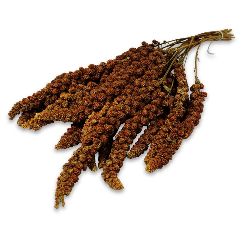 JR Farm Red Foxtail Millet 1kg