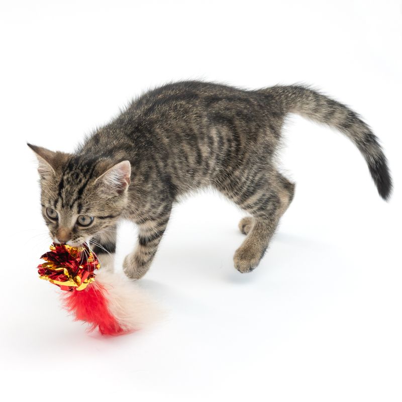 TIAKI Rustling Ball with Feathers Cat Toy 1 Ball