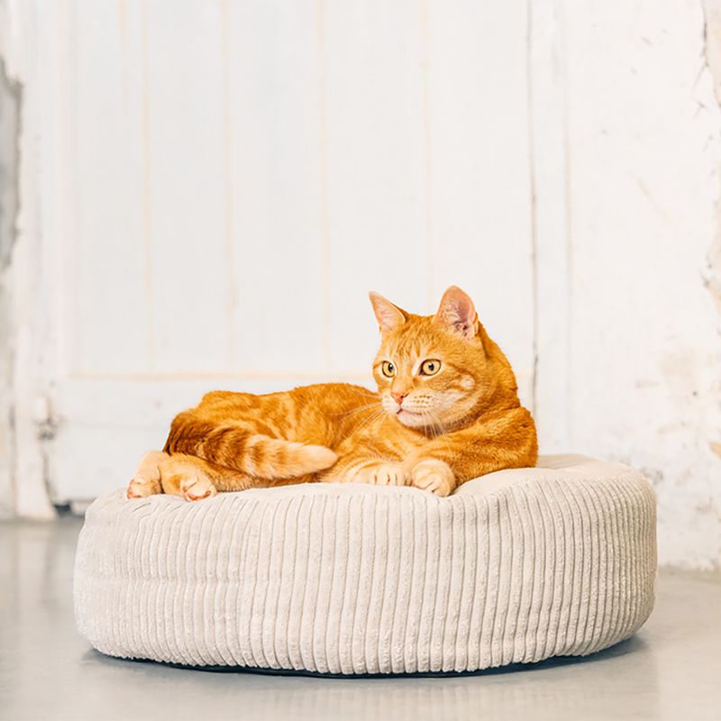 Designed by Lotte Ribbed Bed Light Grey