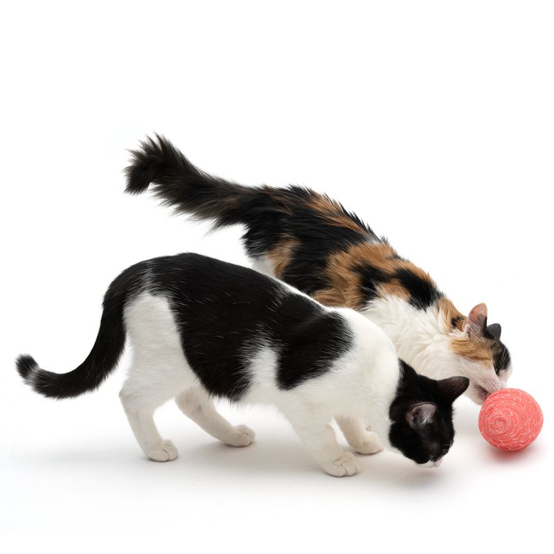 TIAKI Ice Cream Cat Toy 1 Toy