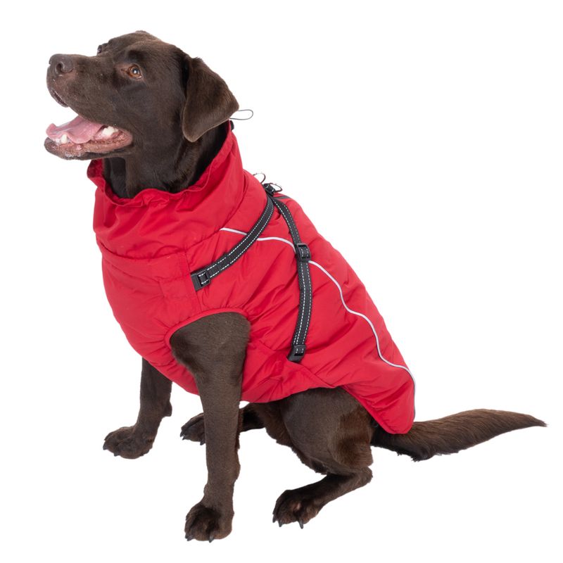 TIAKI Arkon Dog Coat with Harness - Red approx. 35cm (Back Length)