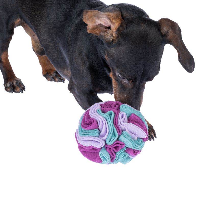 zooplus Basics Sniffer Ball Dog Toy approx. diameter 11cm