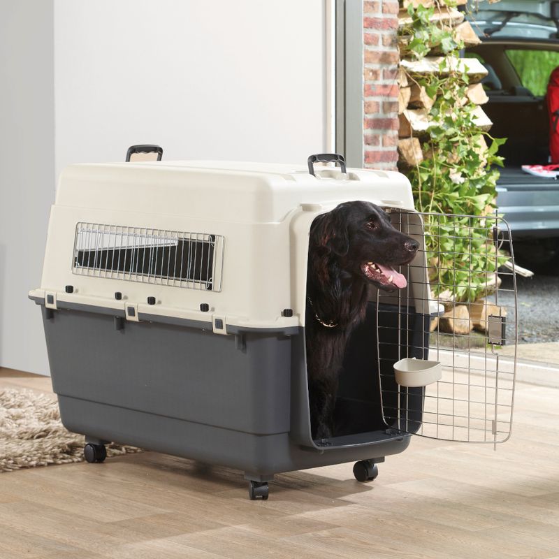 Feria Transport Crate with Wheels Size 5 (M): Dark Grey / Beige