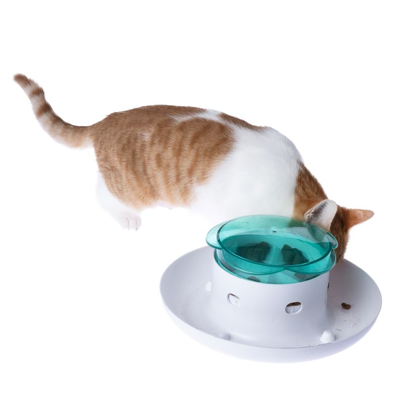 TIAKI Daisy Interactive Food Dispenser 1 Dispenser