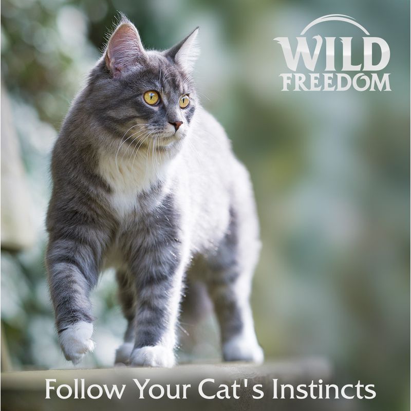 Wild Freedom Adult \