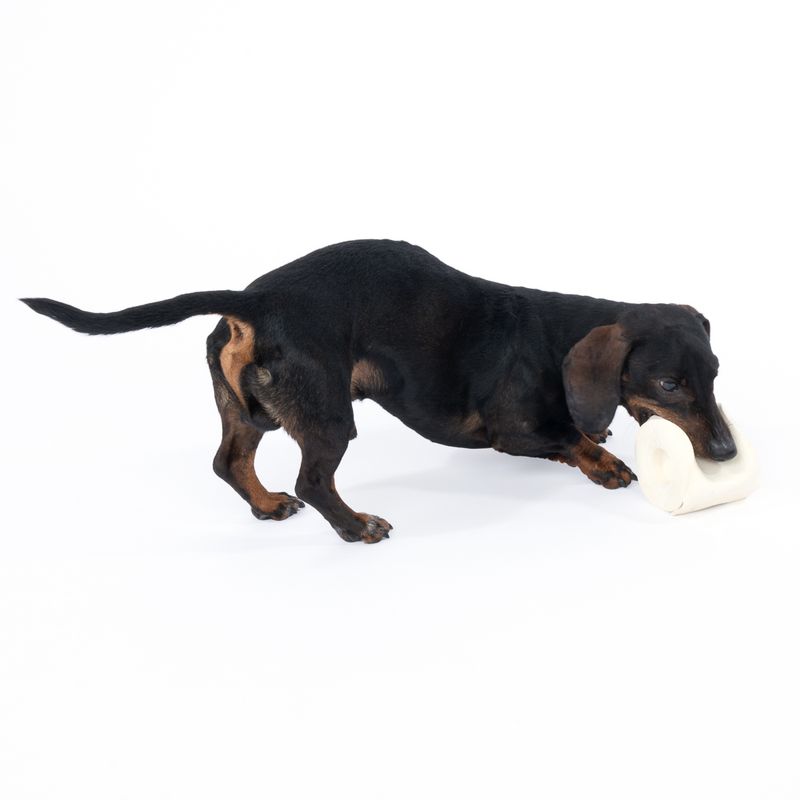 TIAKI Toilet Roll Latex Dog Toy diameter 9 x (H) 11.5 cm