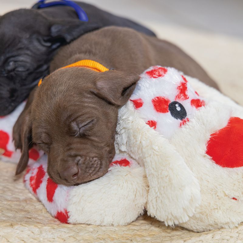 Beeztees Suki Cuddly Dog Toy Size XL