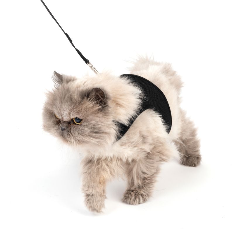 TIAKI Comfy cat harness with lead Abdominal girth: 28 - 38 cm