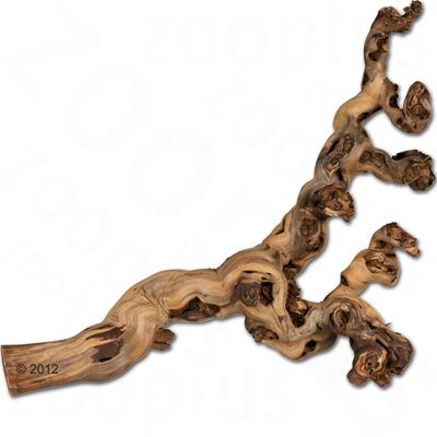 Trixie Sand-Blasted Branch 40 - 60 cm