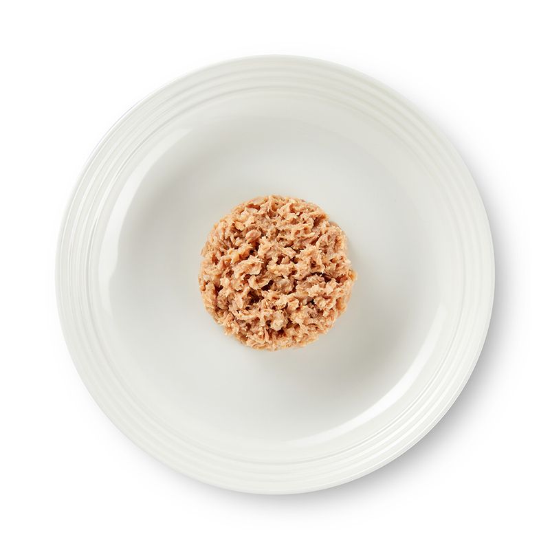 Encore Kitten Jelly Pouch Saver Pack 20 x 50g Finest Selection (2 Varieties)