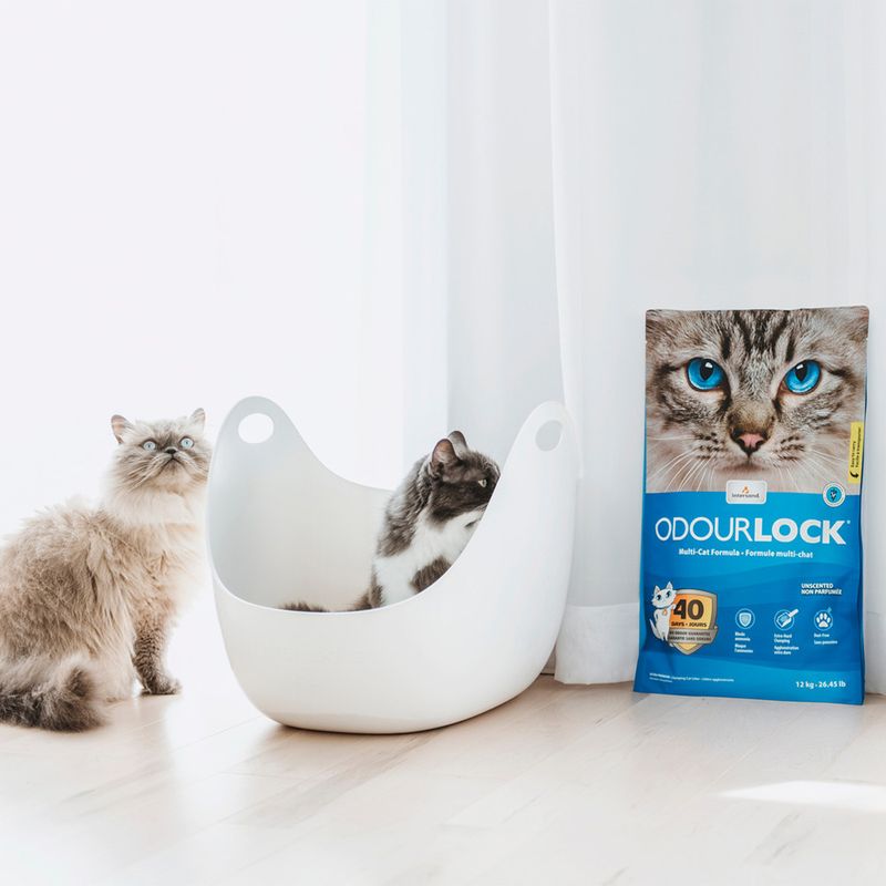 ODOURLOCK Unscented Cat Litter 12kg