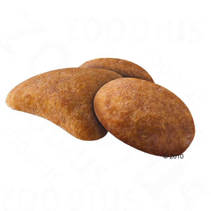 Royal Canin Savour Exigent 400g