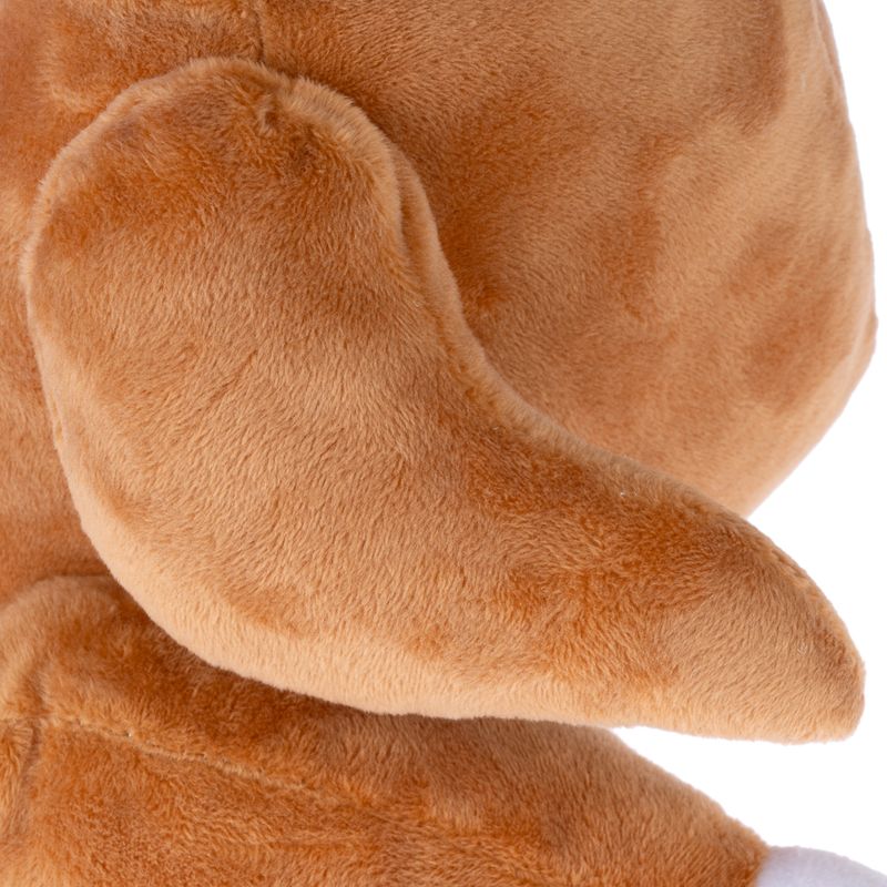 TIAKI Christmas Turkey Dog Toy 1 Toy