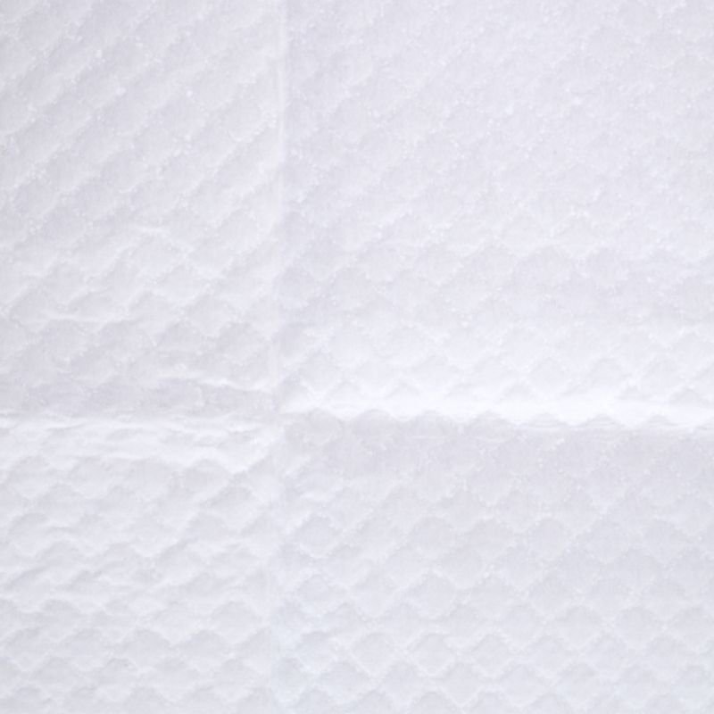 zooplus Basics Training Pads for Puppies 48 x 48 cm (L x W), 50 Pads