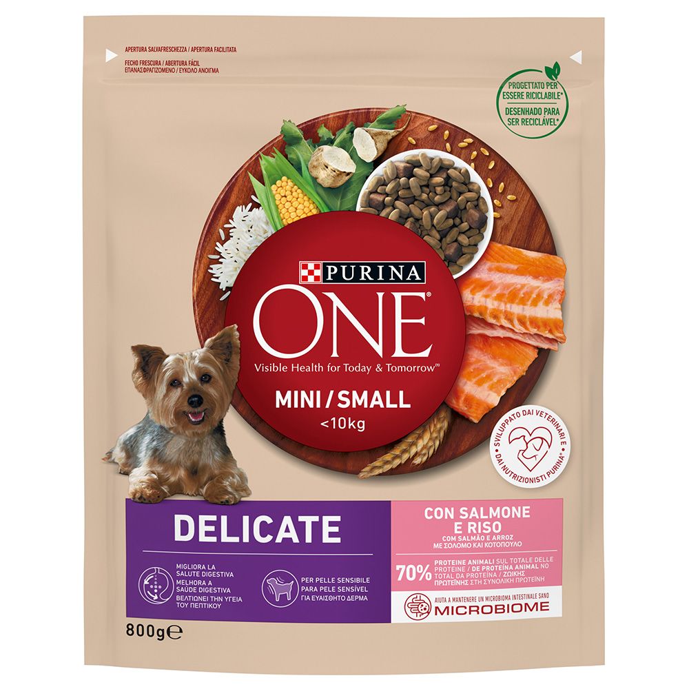 Purina ONE Mini Delicate Salmon & Rice 800g