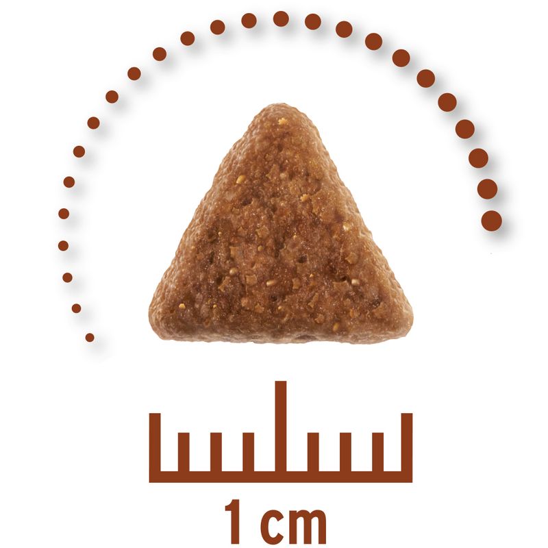 Concept for Life Veterinary Diet Economy Pack 2 x 10kg Hypoallergenic Insect (2 x 10kg)