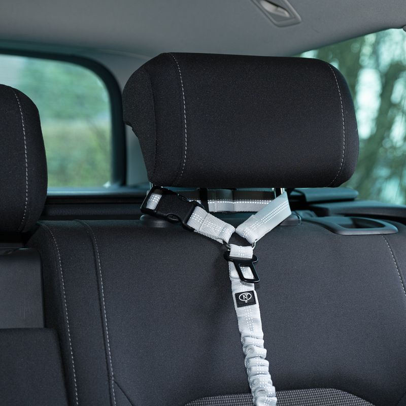Nomad Tales Calma car seat belt for dogs 58 - 75 cm long, 25 mm wide (stone)