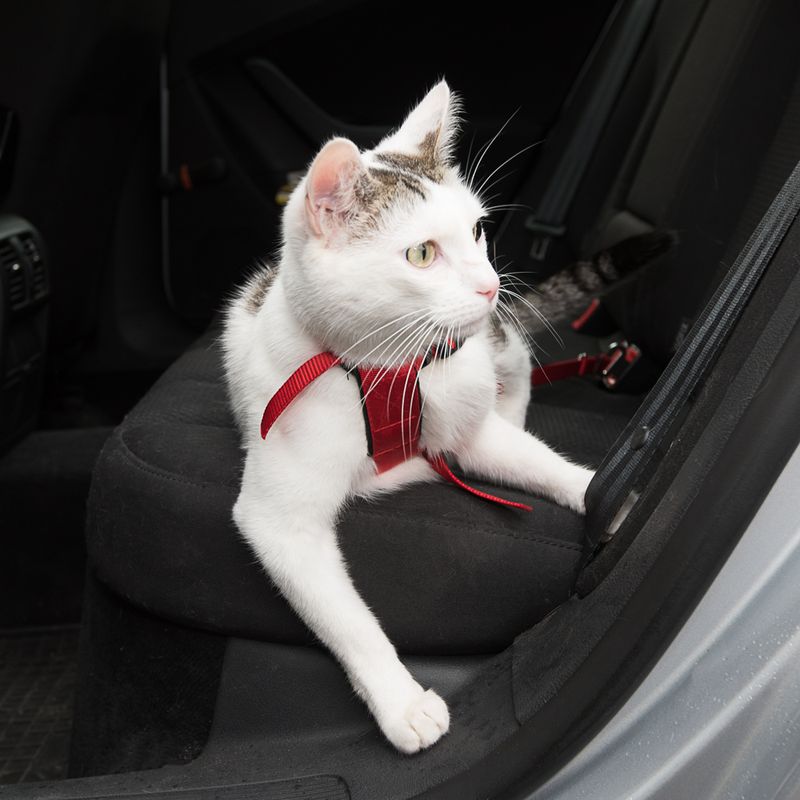 Trixie Cat Car Harness Red