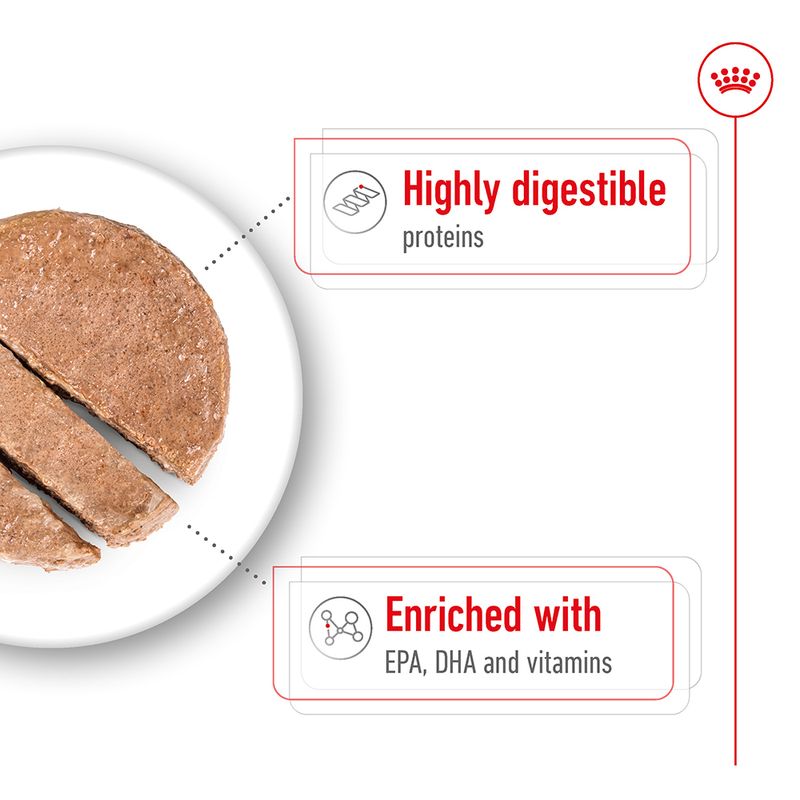 Royal Canin Maxi Ageing in Loaf 12 x 410g