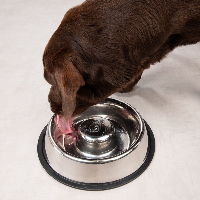 TIAKI Silvered Slow-Feeding Bowl 570ml (24.5cm diameter)