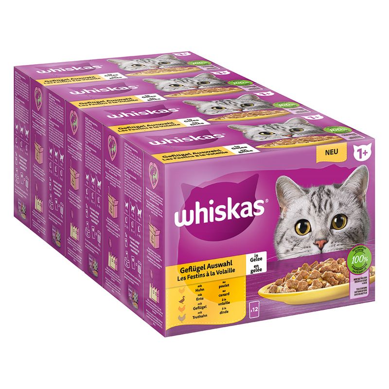 Whiskas 1+ Adult Pouches Saver Pack 48 x 85g Poultry Feasts in Jelly