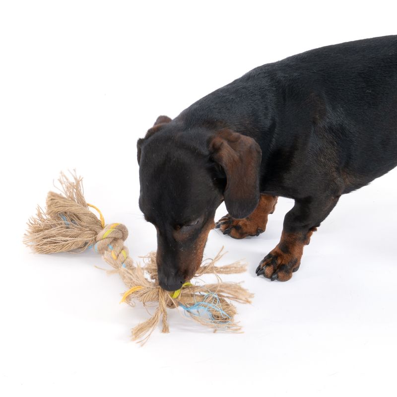 Modern Living Menorca Double Knot Rope Toy approx. 32 x 5 x 5cm (L x W x H)