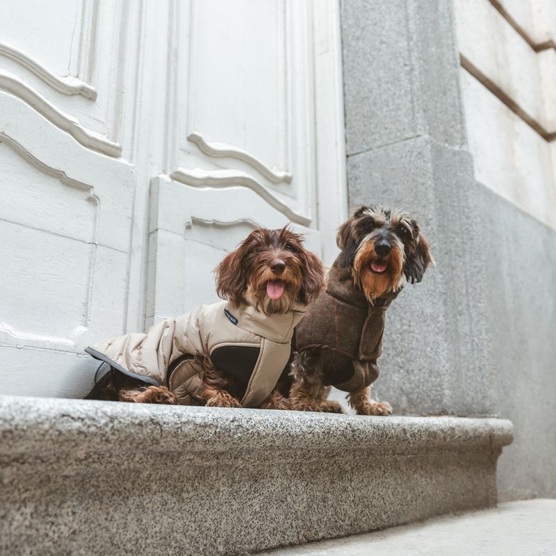 Nomad Tales Bloom Tartan Dog Coat Back length: approx. 35cm