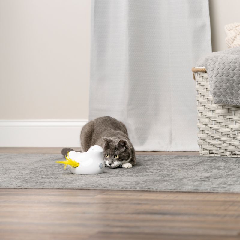 PetSafe® Peek-a-Bird Electronic Cat Toy 1 Toy