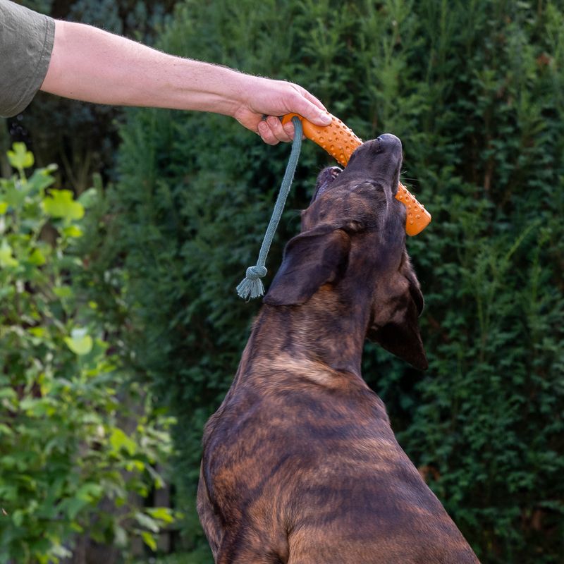 TIAKI Floating Fetch Toy with Rope diameter 4.5 x 27.5 cm