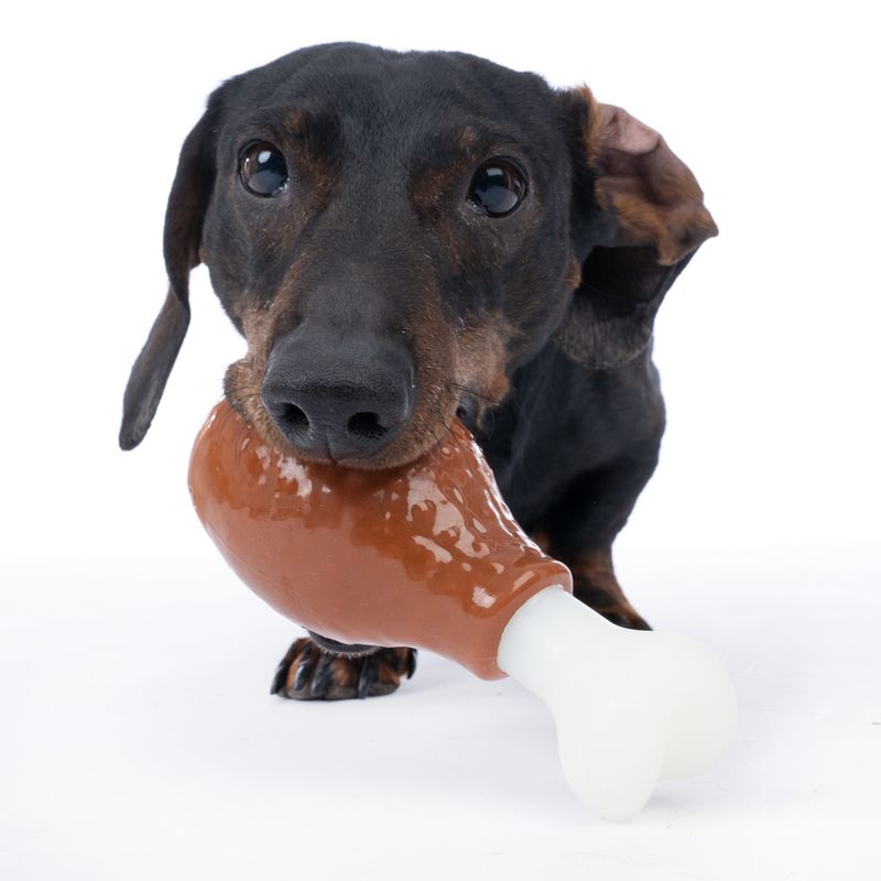 TIAKI Chicken Drumstick Dog Toy 15 x 6.5 x 5.5 cm (L x W x H)