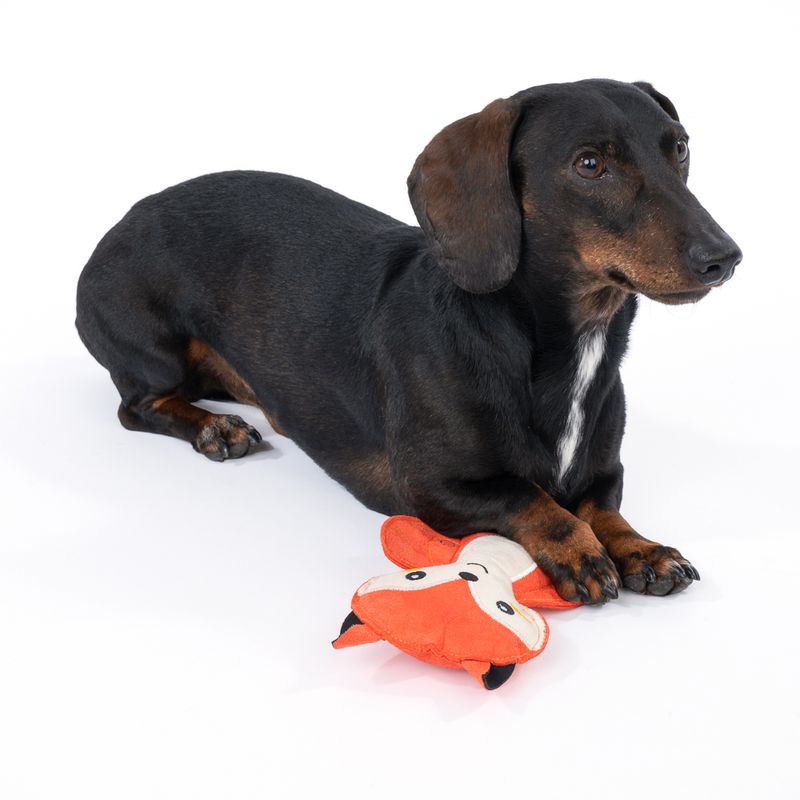 TIAKI Squeaky Fox Dog Toy 19 x 12 x 4 cm (L x W x H)