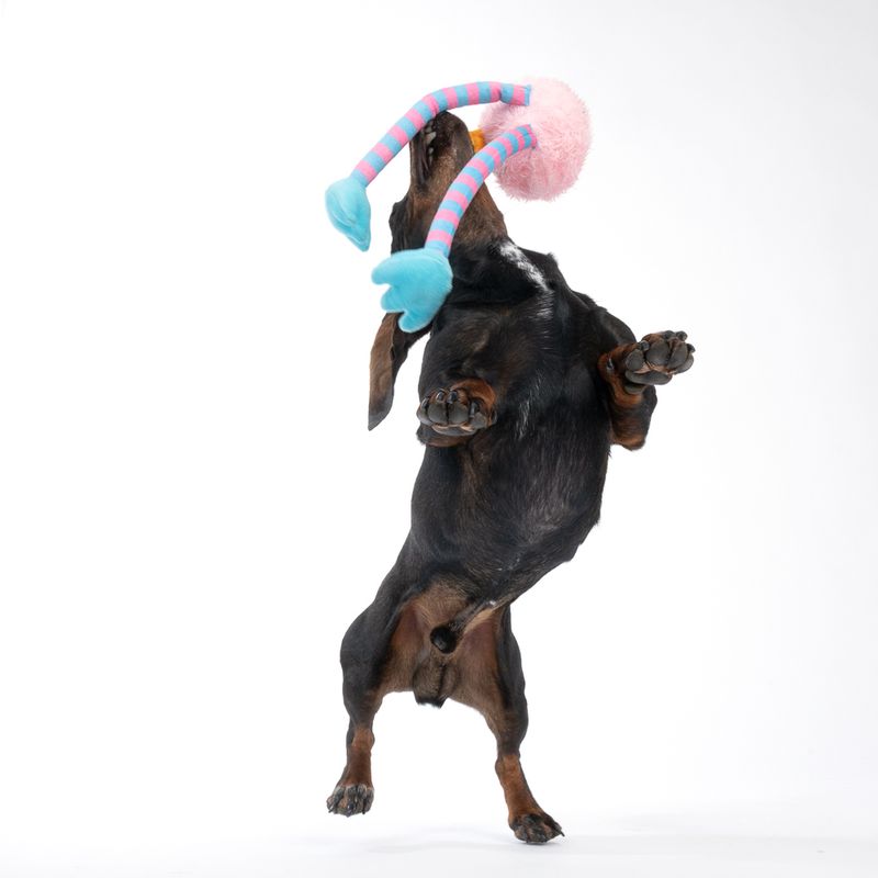 TIAKI Pink Chicken Long-Legs Dog Toy 30cm