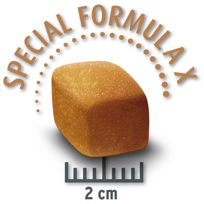 Concept for Life Economy Packs Labrador Sterilised (2 x 12kg)