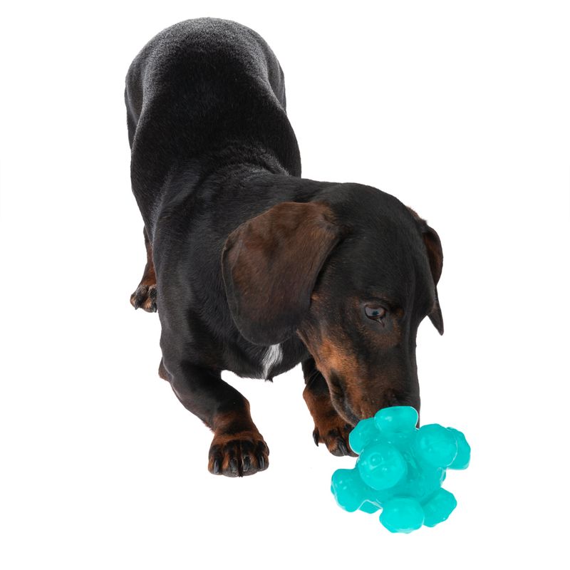 TIAKI Dog Toy Treat Ball Meteorite Size S: Ø 10 cm