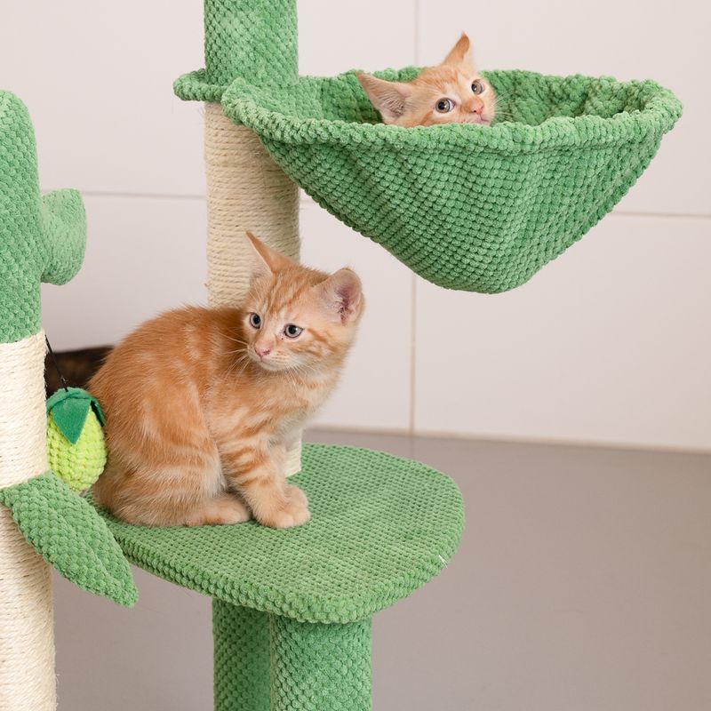 TIAKI Nature Green Desert Scratching Post Green/Brown