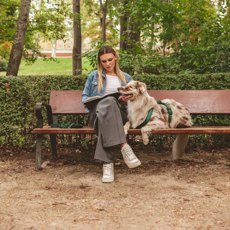 Nomad Tales Blush Harness - Emerald Size XS: 34 - 49 cm chest circumference, W 15 mm